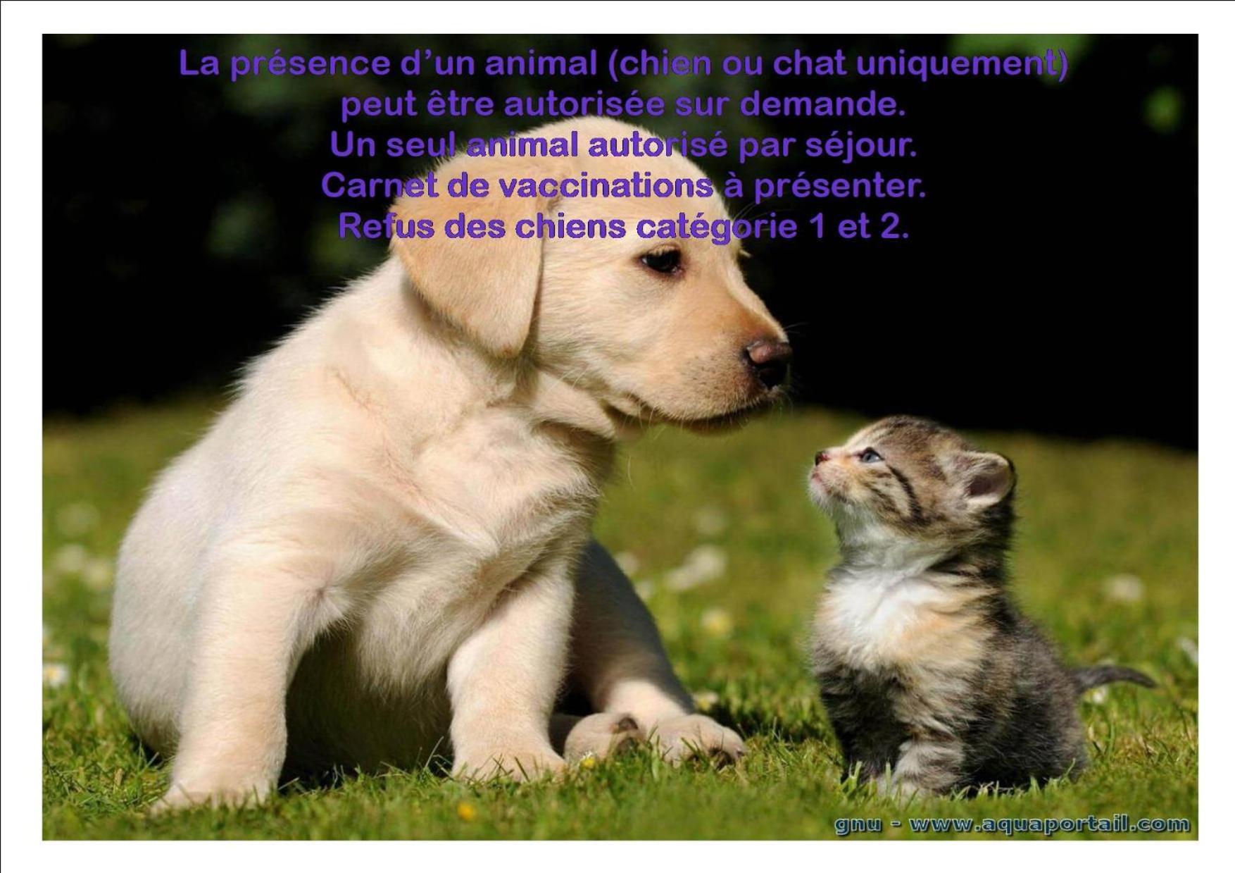 Le Gite Du Frene Poses Exterior foto